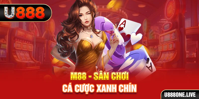 sudoku online gà chọi cậu thanh