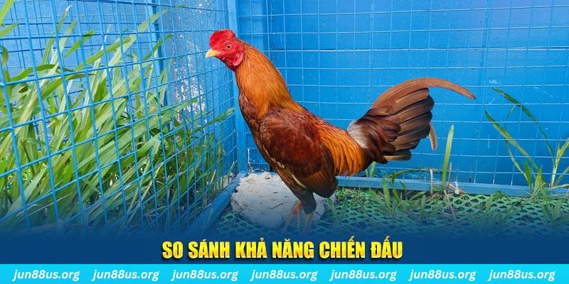 sudoku online xổ số tiền giang
