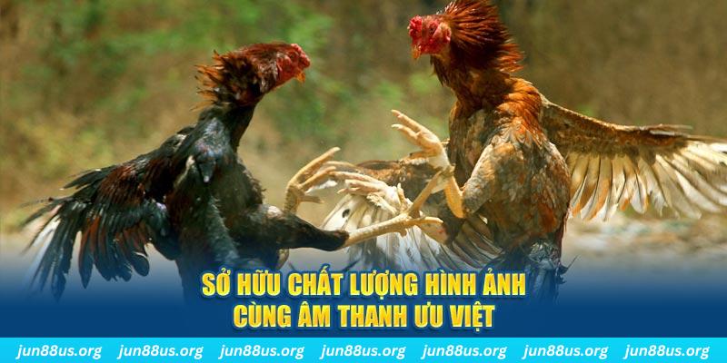 sudoku online tai game danh bai ve may tinh