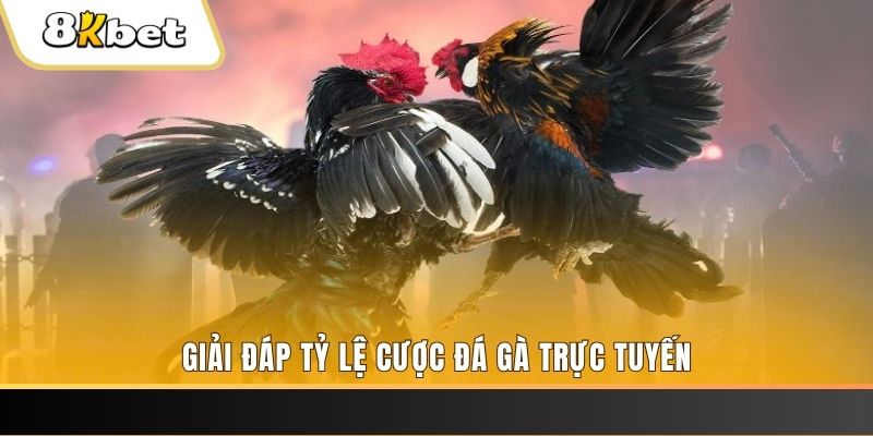 sudoku online xổ số ba đài