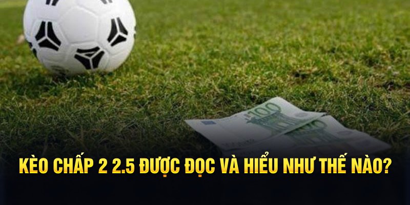 sudoku online đá gà thomo