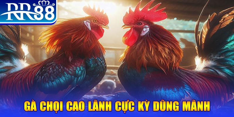 sudoku online natural” trong baccarat nghĩa là gì？